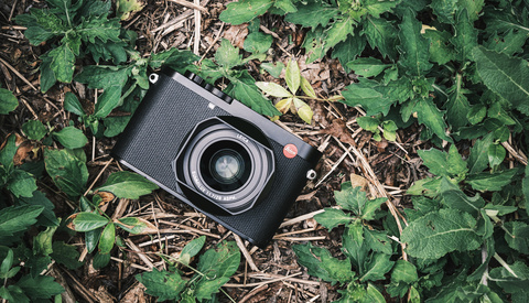 Hands On with the Fujifilm X100V — Kate Hailey