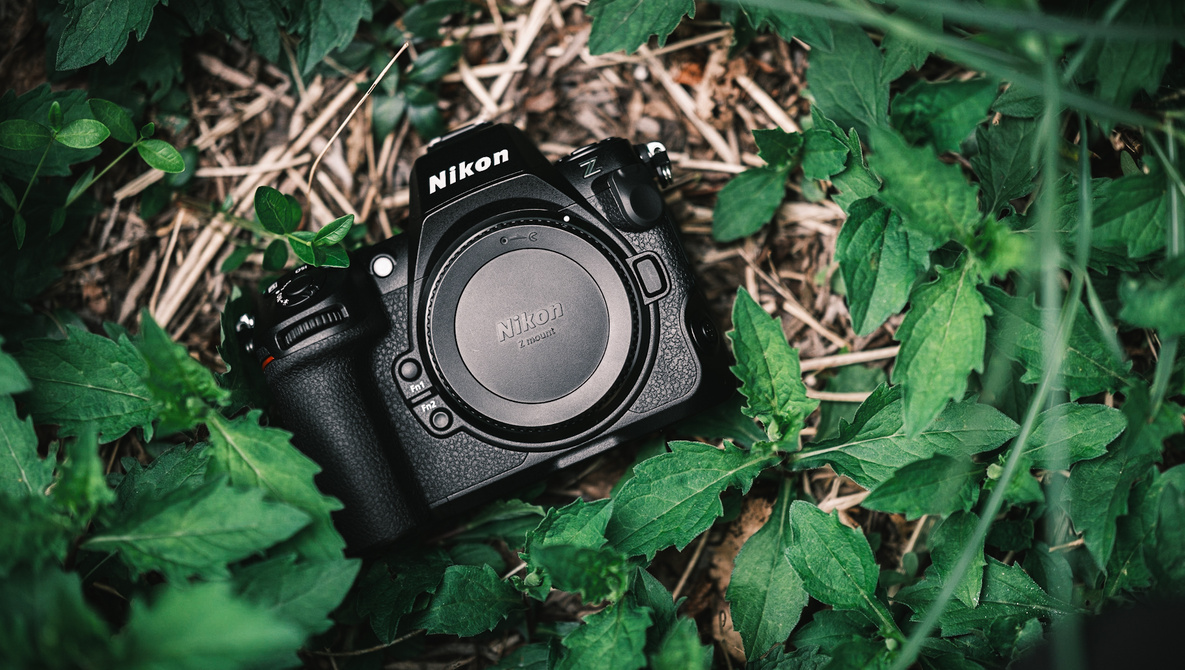A Beast for Serious Photographers: We Review the Nikon Z 8